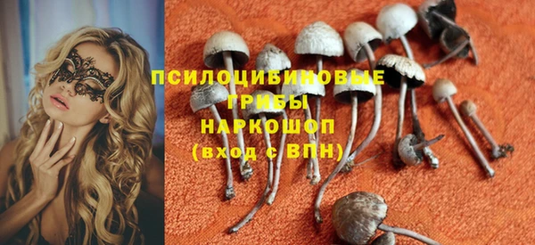 мяу мяу кристалл Инсар