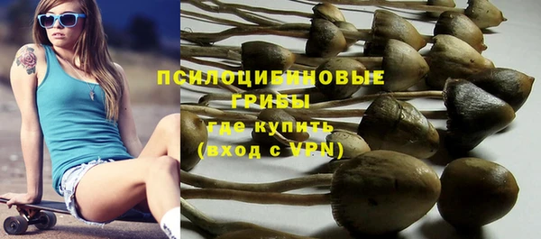 мяу мяу кристалл Инсар